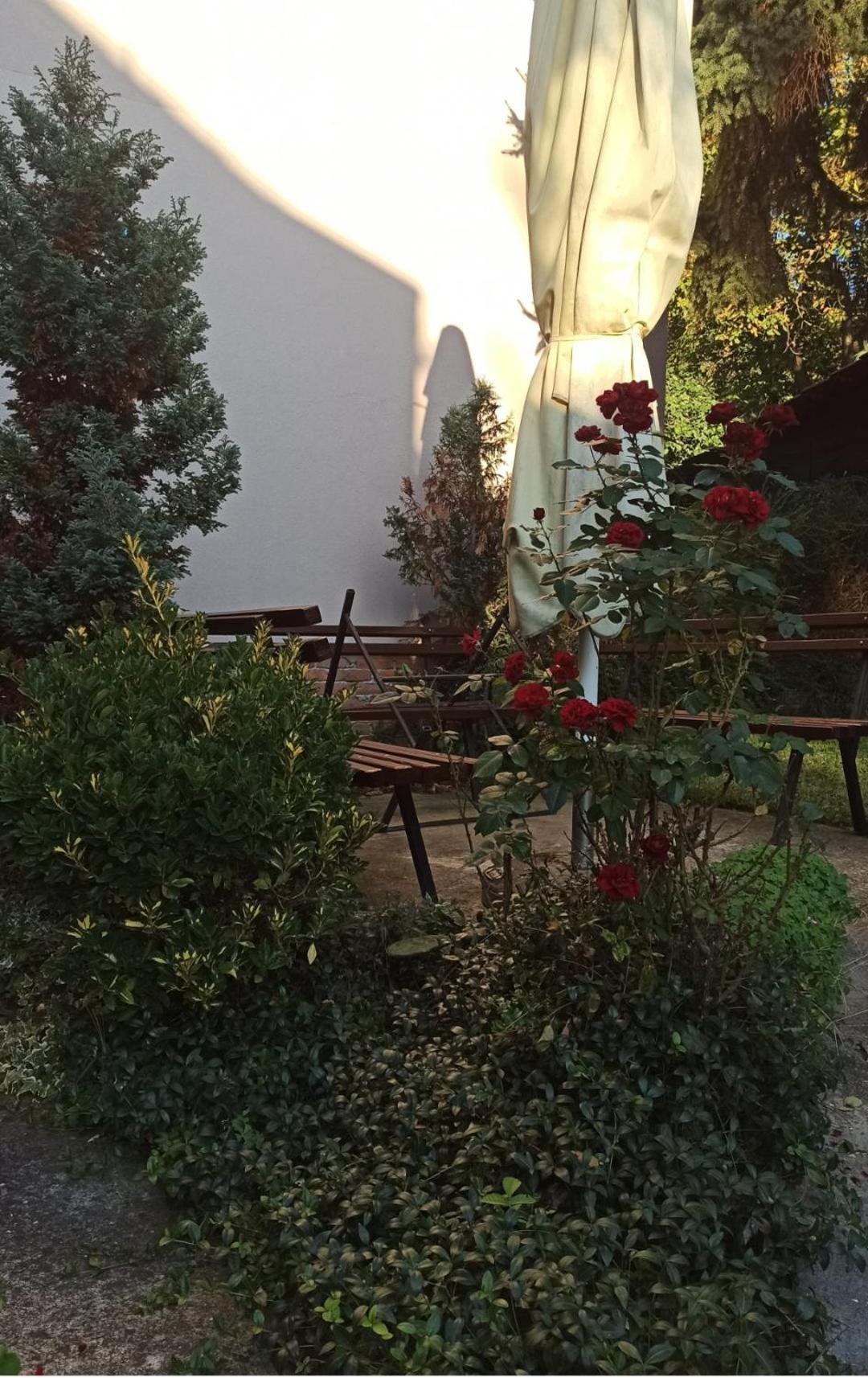 Apartman Oaza Olja เบลเกรด ภายนอก รูปภาพ